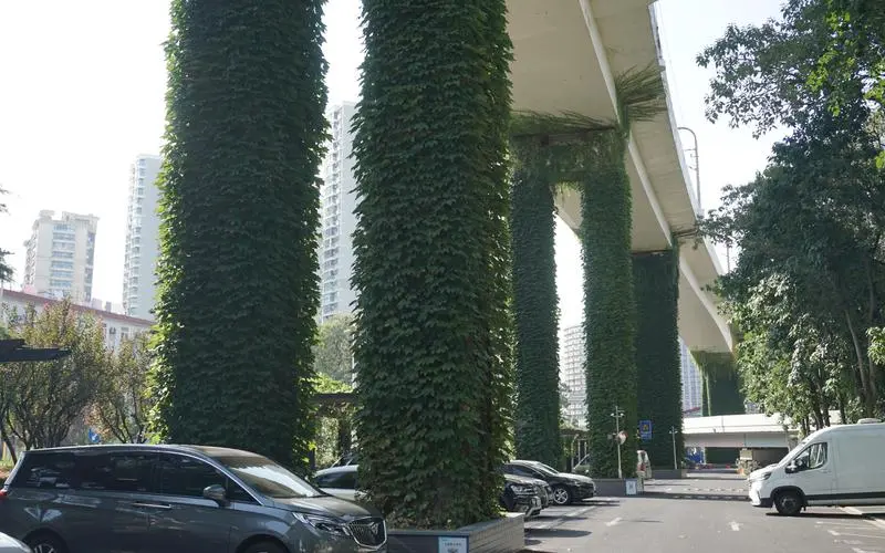 园林管理岗位面试问题揭秘：请简要介绍您在园林设计和维护方面的经验。