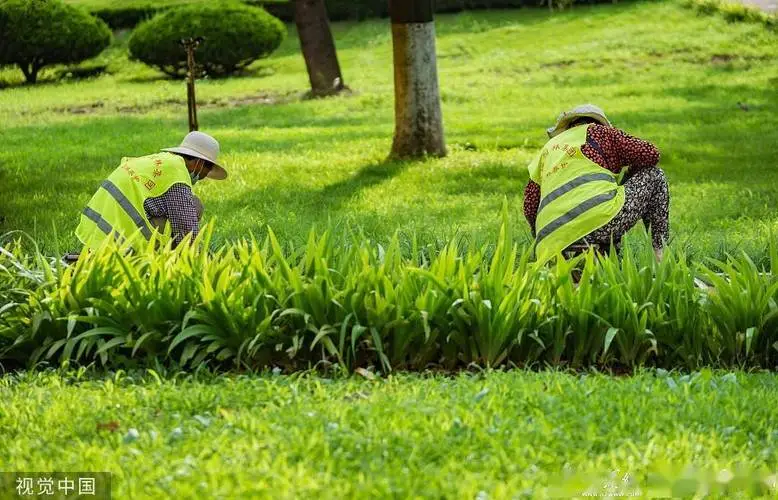 办公室靠山园林景观设计
